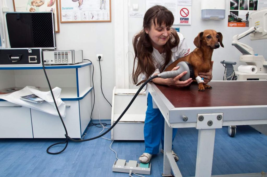 Mobile Vets