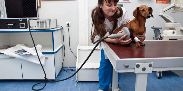 Mobile Vets