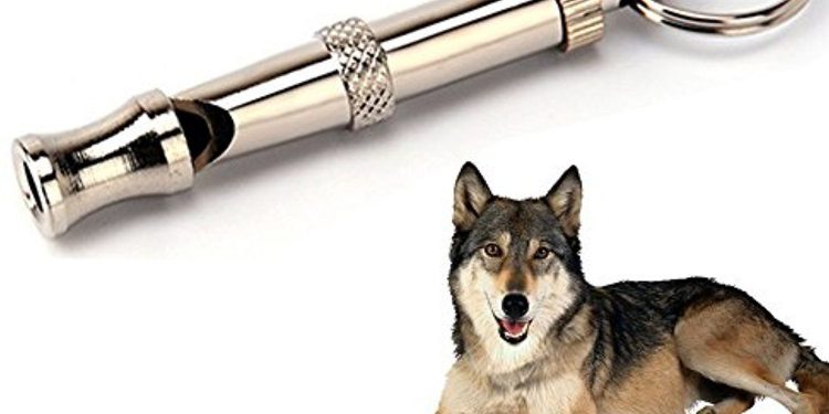Best Dog Whistles