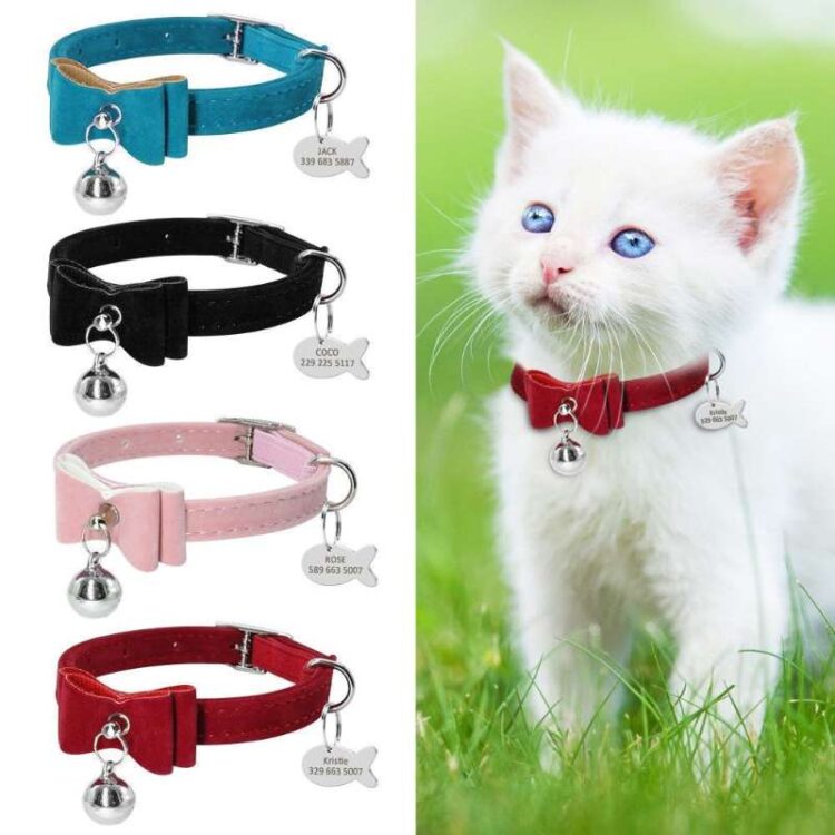 custom cat collars