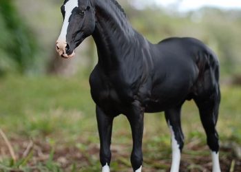 The Marwari horse