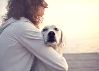 Dogs for Adoption: 3 Things to Consider Before Adopting a Dog