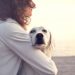 Dogs for Adoption: 3 Things to Consider Before Adopting a Dog