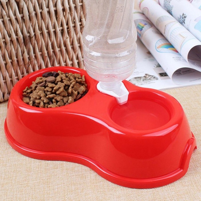 dog drinker