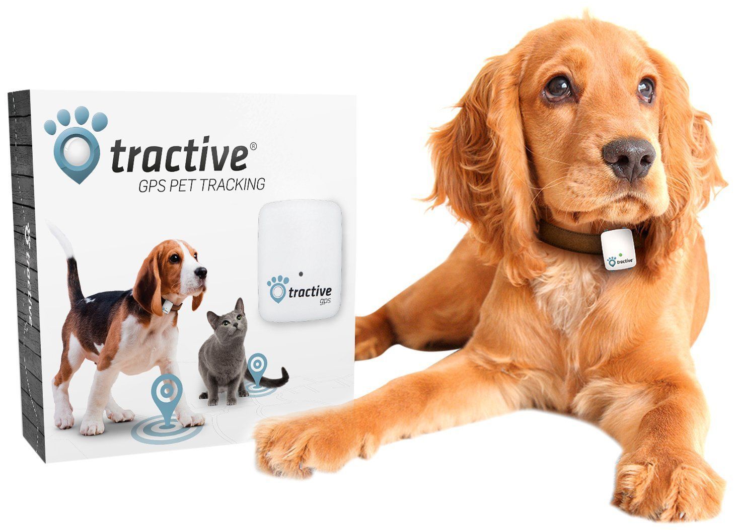 The Best Cat Collars Of 2022 Pet Rescue Blog