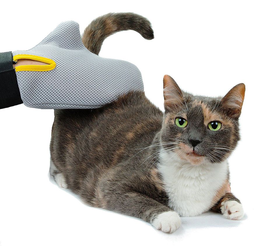 Cat Grooming Gloves