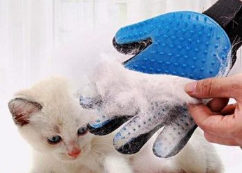 Cat Grooming Gloves