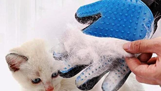 Cat Grooming Gloves