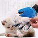 Are Cat Grooming Gloves Worth It? A Complete Guide Cat Grooming Gloves