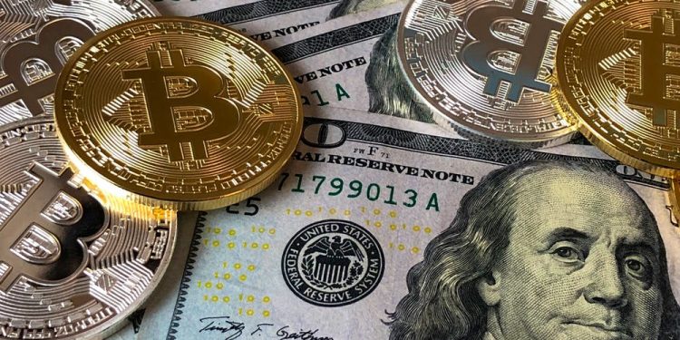 Cryptocurrency in Pet Industry