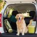 7 Tips For Dog-Friendly Road Trip Dog-Friendly Road Trip