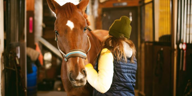 Horse Care Tips For Beginners