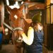 Horse Care Tips For Beginners