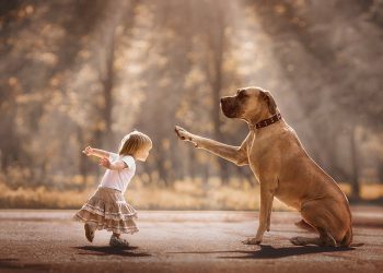 My Dog Doesn’t Like Kids