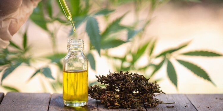CBD Therapy