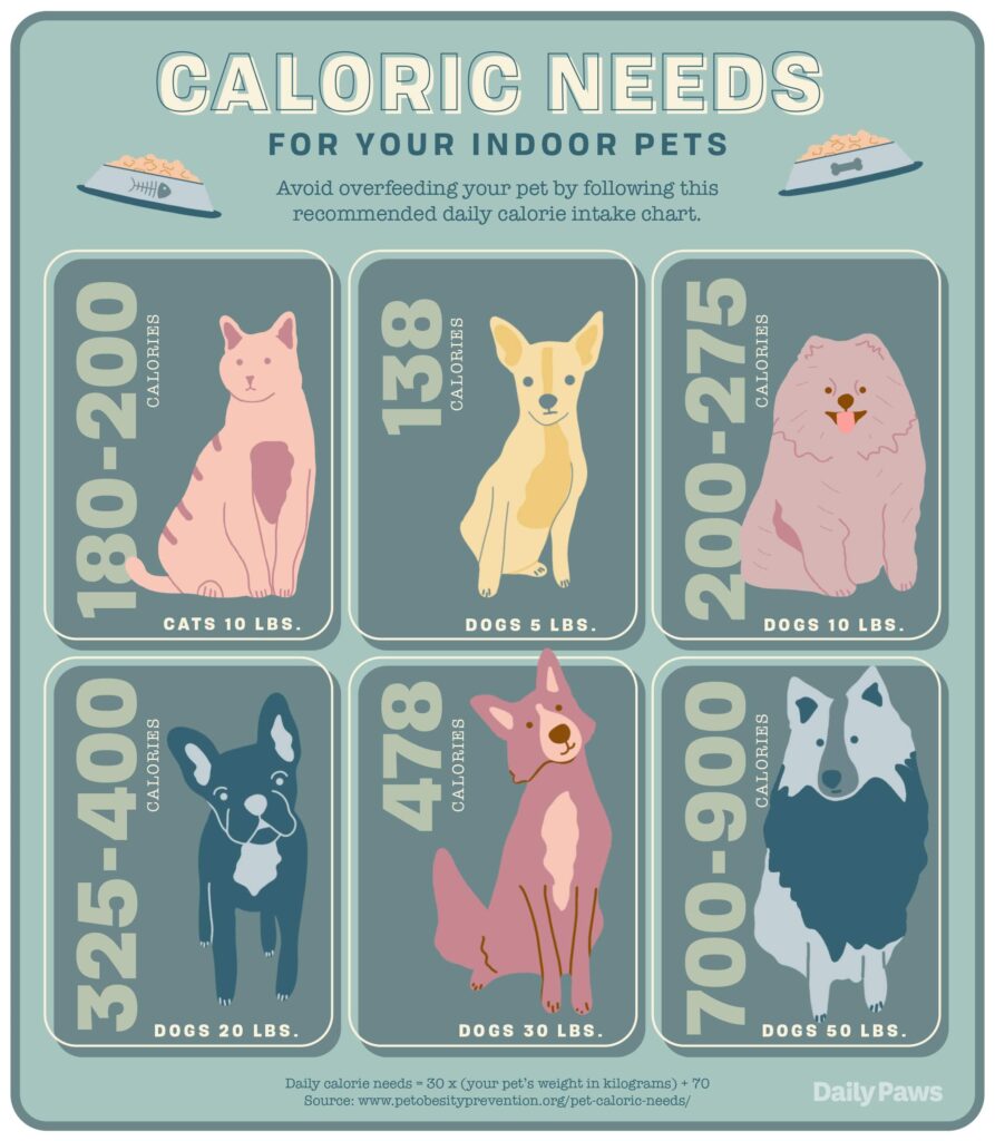 How to Calculate How Many Calories Your Dog Should Eat by Size