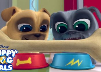 puppy dog pals theme song