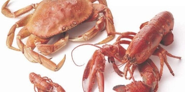 Crabs and lobsters