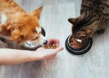 Save On Pet Supplies