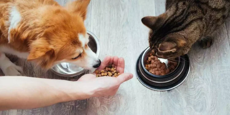 Save On Pet Supplies