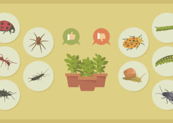 Ways To Control Plant Pests And Diseases