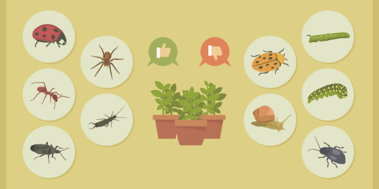 Ways To Control Plant Pests And Diseases
