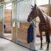 Everything About The Stable Of Your Horse stable
