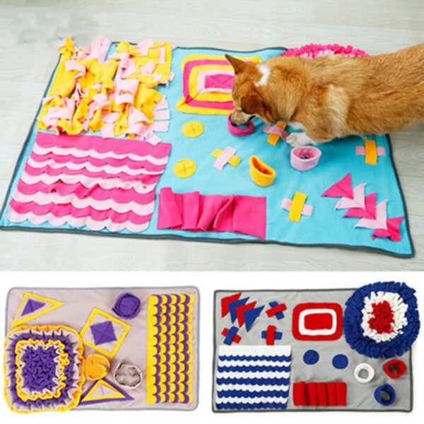 rug