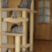 The cat towers: a cat furniture with different floors cat towers
