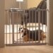 Dog Barriers to Keep Your Pup Safe and Secure Barrier For Dogs