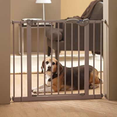 Barrier For Dogs