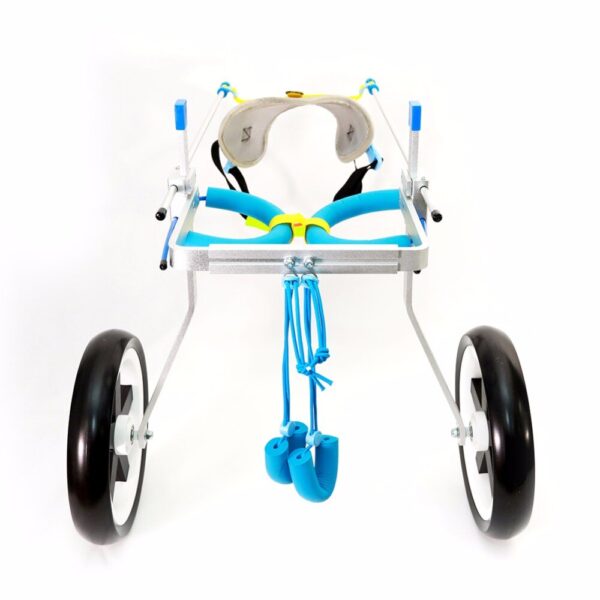 dog cart