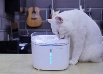 Cat Water Fountains