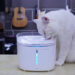 8 Cat Water Fountains to Choose the Best One for your Cat Cat Water Fountains