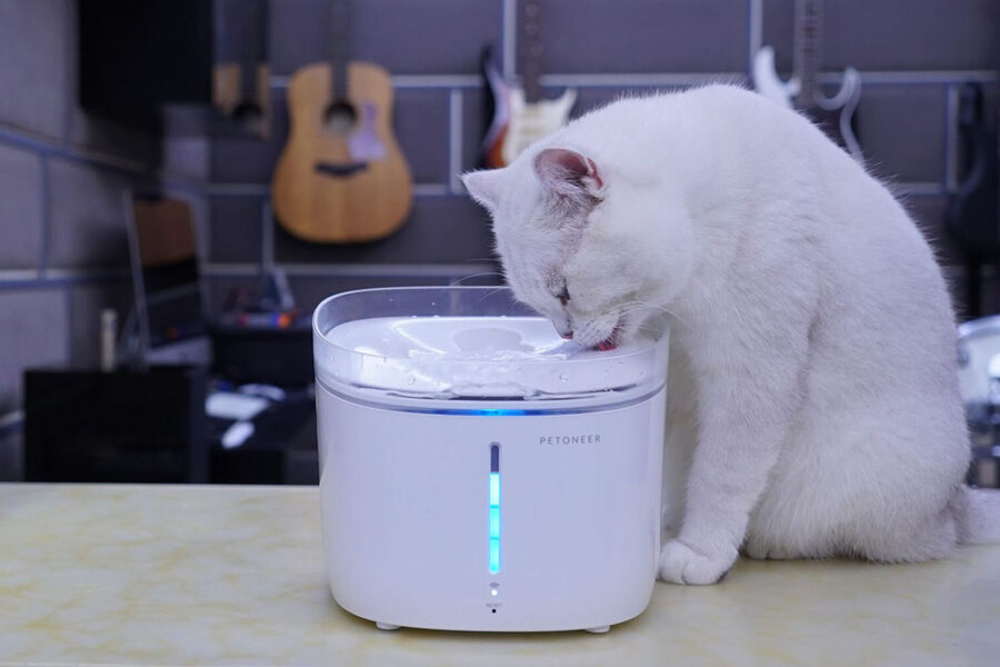 Cat Water Fountains