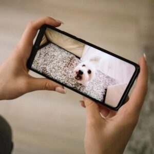 Communicate with Your Pet