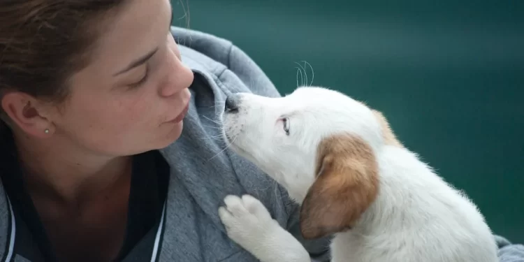 Important Dog Adoption Checklist