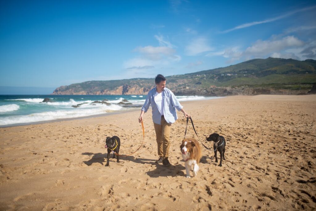 Dog Adoption Checklist