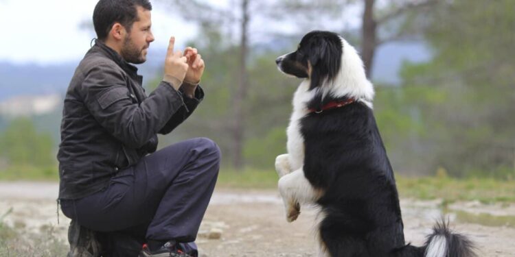 How to Equip Your Dog for a Happy, Healthy Life