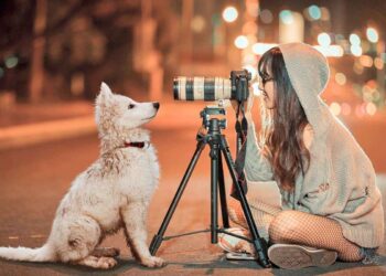 How to Edit Your Dog Pics at Home