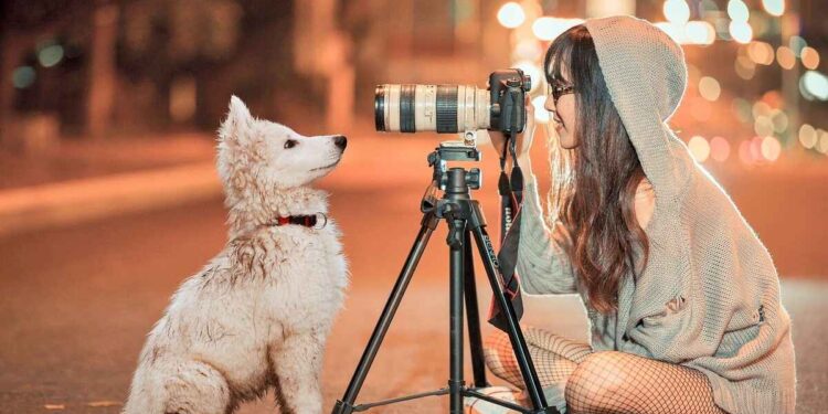 How to Edit Your Dog Pics at Home