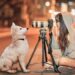 How to Edit Your Dog Pics at Home How to Edit Your Dog Pics at Home