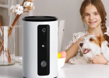 How to Keep an Eye on Your Pet Using Dog Camera