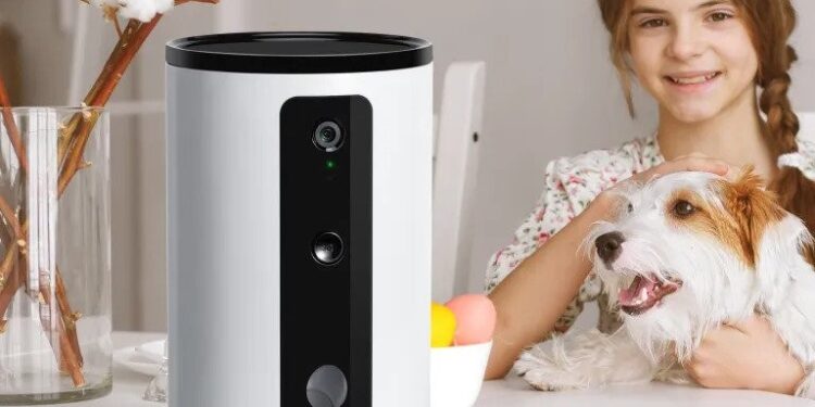 How to Keep an Eye on Your Pet Using Dog Camera