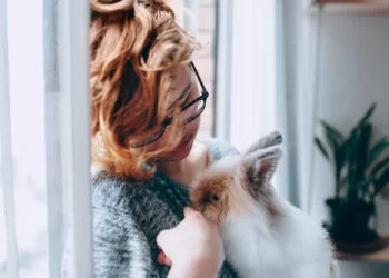 Maintain Your Pet's Health