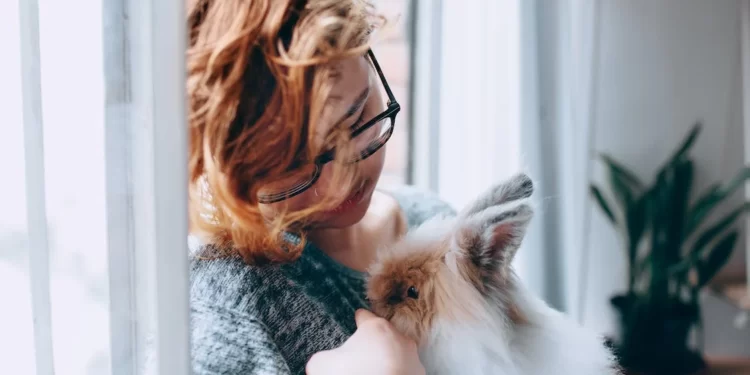 Maintain Your Pet's Health