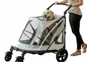 dog cart