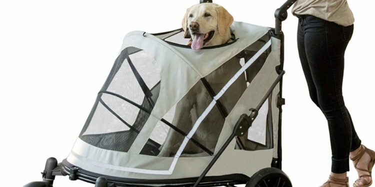 dog cart