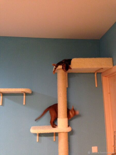 The cat towers: a cat furniture with different floors cat towers
