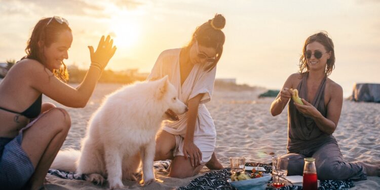 Furry Friend’s First Vacation